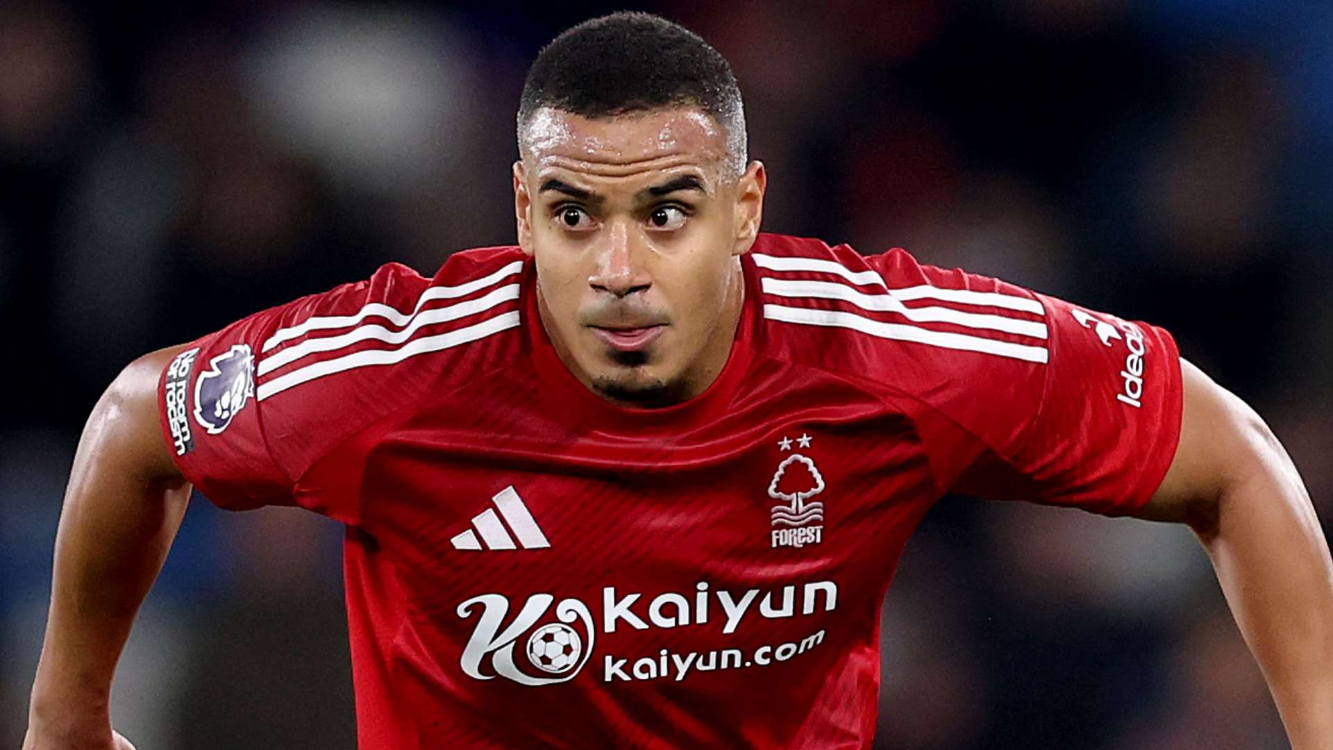 极有可能会 极有可能会