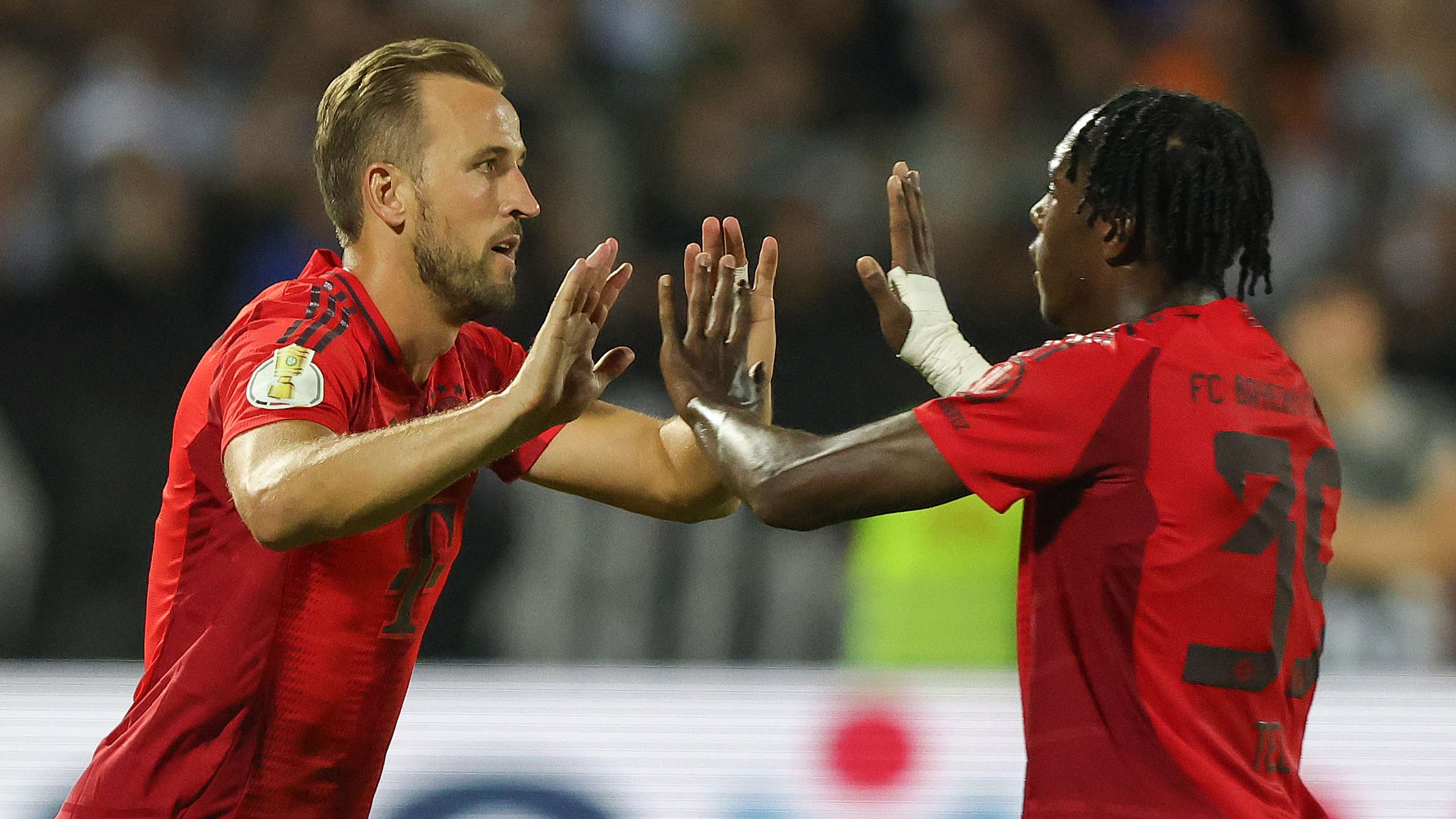 可持续发展 可持续发展